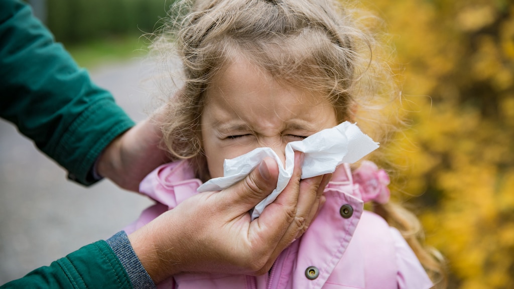 Hatsjoe! Zo herken je een verkoudheid