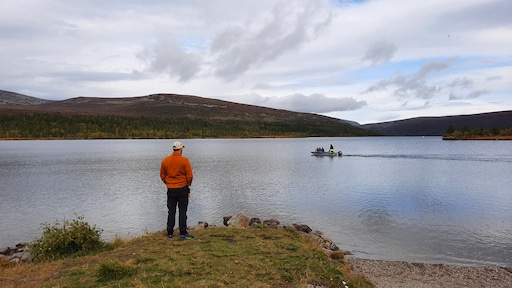 Christian, Eline en Dennis emigreerden naar Zweden: 'Hier vind ik mijn rust'