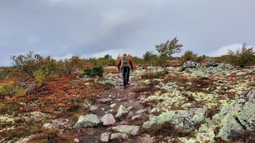 Dennis Daselaar in de Zweedse natuur.
