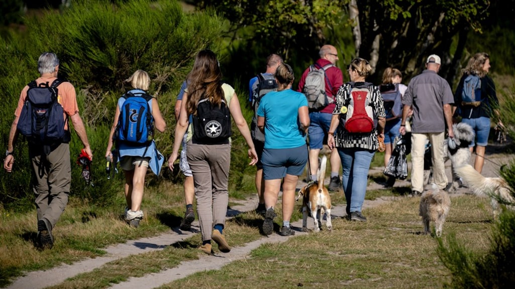 Met een groepje het bos in? Voortaan eerst toestemming vragen
