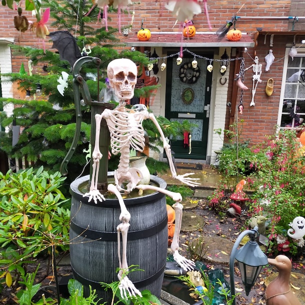 De tuin van Anouschka