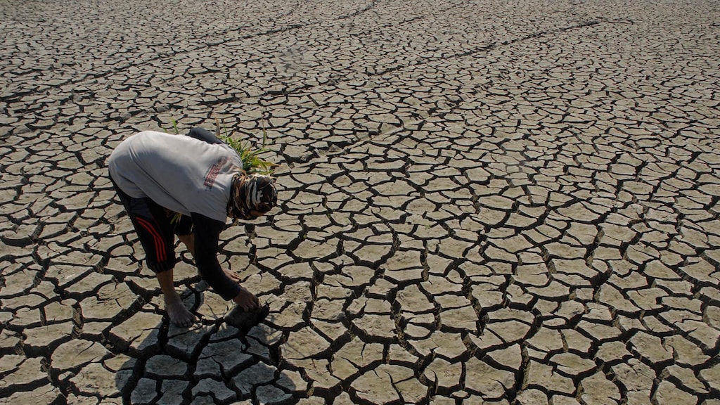 VN-rapport: aarde wordt 'onbewoonbare hel' door overstromingen en droogte