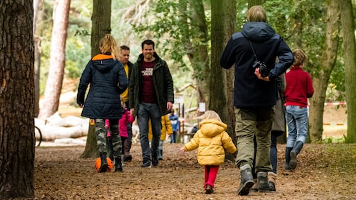 Flink druk in veel bossen en parken: 'De parkeerplaats is overvol'
