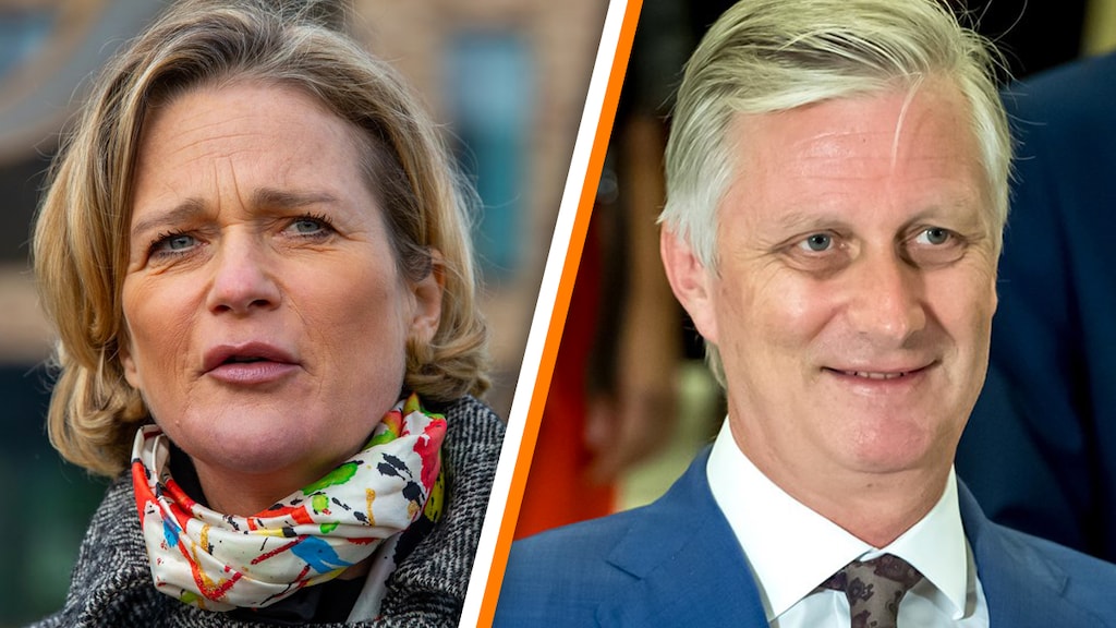 Prinses Delphine vertelt over ontmoeting met broer koning Filip