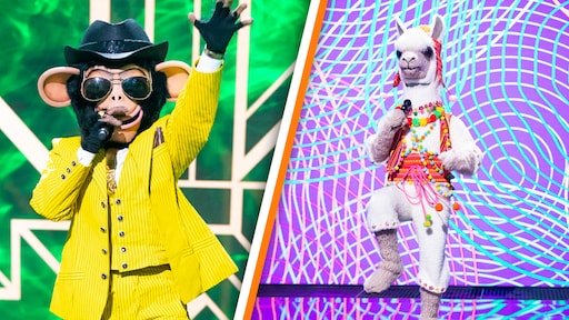 Deze twee BN'ers zijn ontmaskerd in The Masked Singer