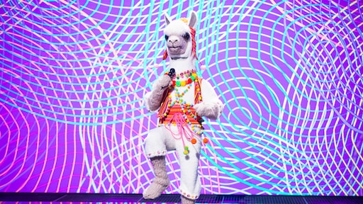 Joris werd na eerste aflevering The Masked Singer al ontmaskerd