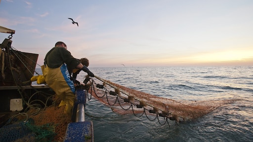 Handelsdeal na Brexit stapje dichterbij: 'Bijna akkoord over visserij'