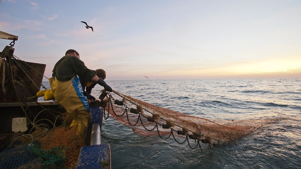 Handelsdeal na Brexit stapje dichterbij: 'Bijna akkoord over visserij'