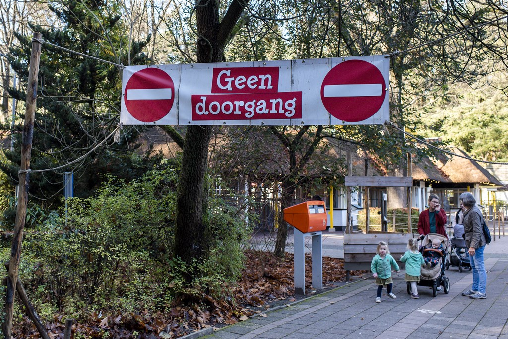 Ontsnapte chimpansees doodgeschoten in DierenPark Amersfoort: 'Zwarte dag'