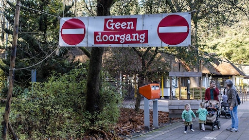 Ontsnapte chimpansees doodgeschoten in DierenPark Amersfoort: 'Zwarte dag'