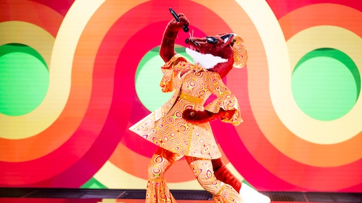 Eén van deze BN'ers zou de Vos in The Masked Singer kunnen zijn