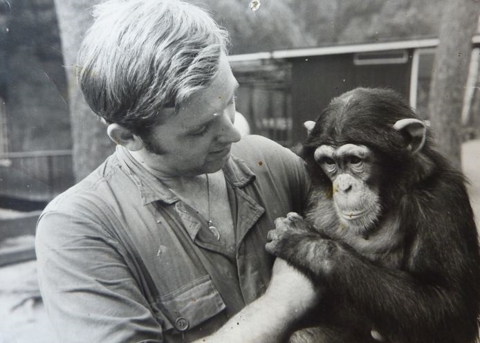 Marjo Hoedemaker met de jonge chimpansee Mike