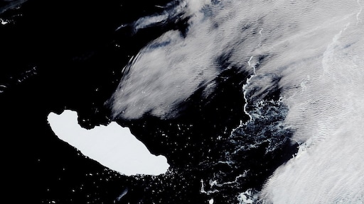 Gigantische ijsberg ligt op ramkoers met Brits eiland, dieren in gevaar