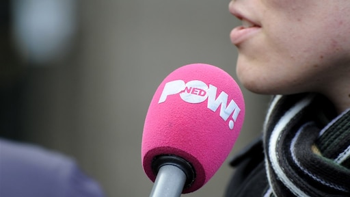 Minderjarige opgepakt voor belaging verslaggever PowNed