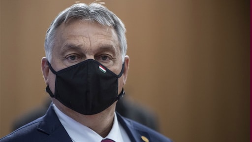 Hongarije wil adoptie door homostellen verbieden