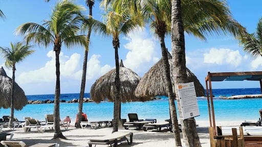 Premier Curaçao: 'Toeristen zijn absoluut welkom hier'