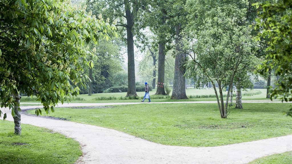 Het Westerpark, één van de plekken waar Piet vaak rondhing.