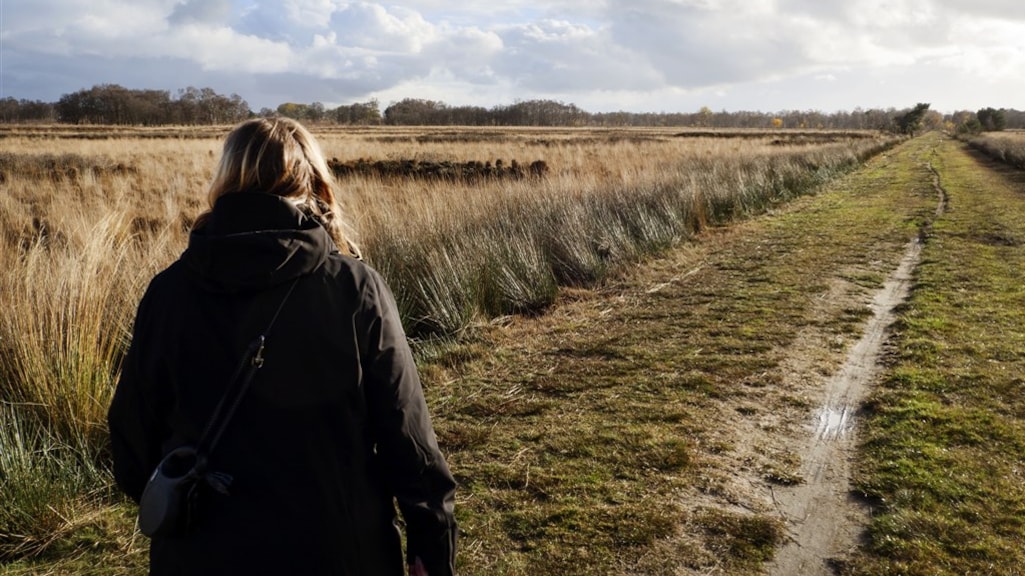 Groen licht voor stikstofwet, maar wat staat er nou precies in?