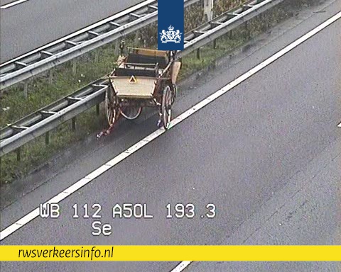 Lege koets gestrand langs A50: 'Gevalletje paard achter de wagen spannen'