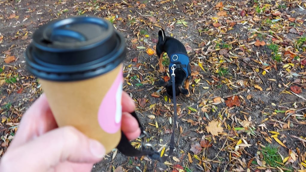 Op pad met hun hond Spike, en koffie to go