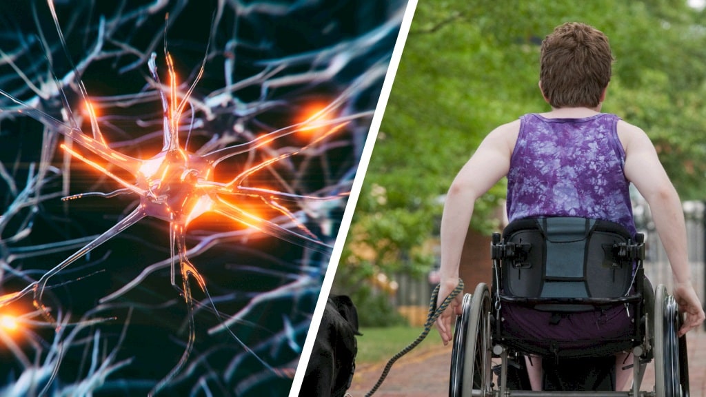 Doorbraak in onderzoek naar MS: vaccin steeds dichterbij