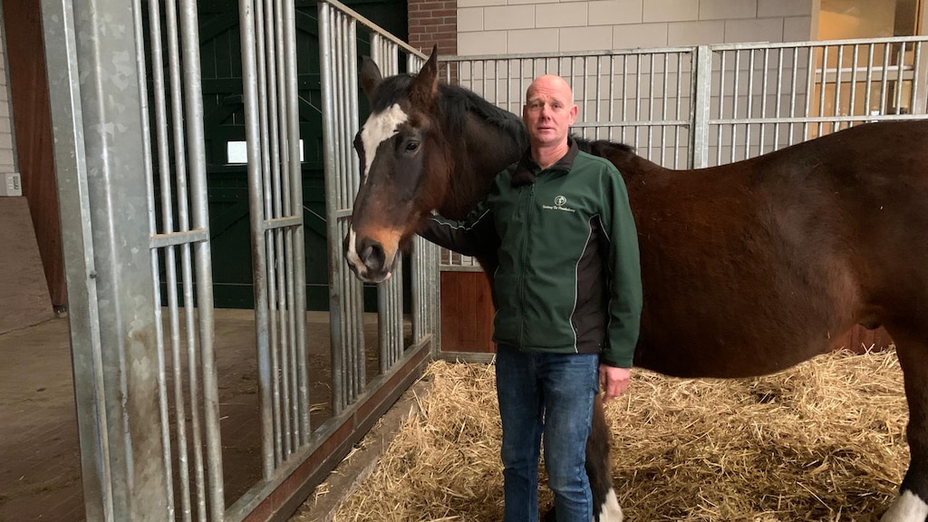 Politiepaard mishandeld: 'Goed getraind maar heeft wel impact'