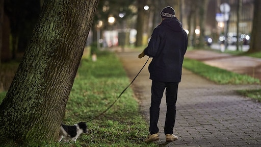 Wat mag er nog tijdens de avondklok? Vragen van lezers beantwoord