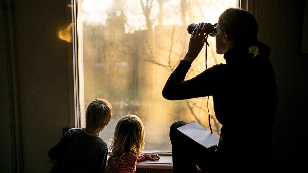 Mus, mees, meeuw - herken jij de meest gespotte tuinvogels?