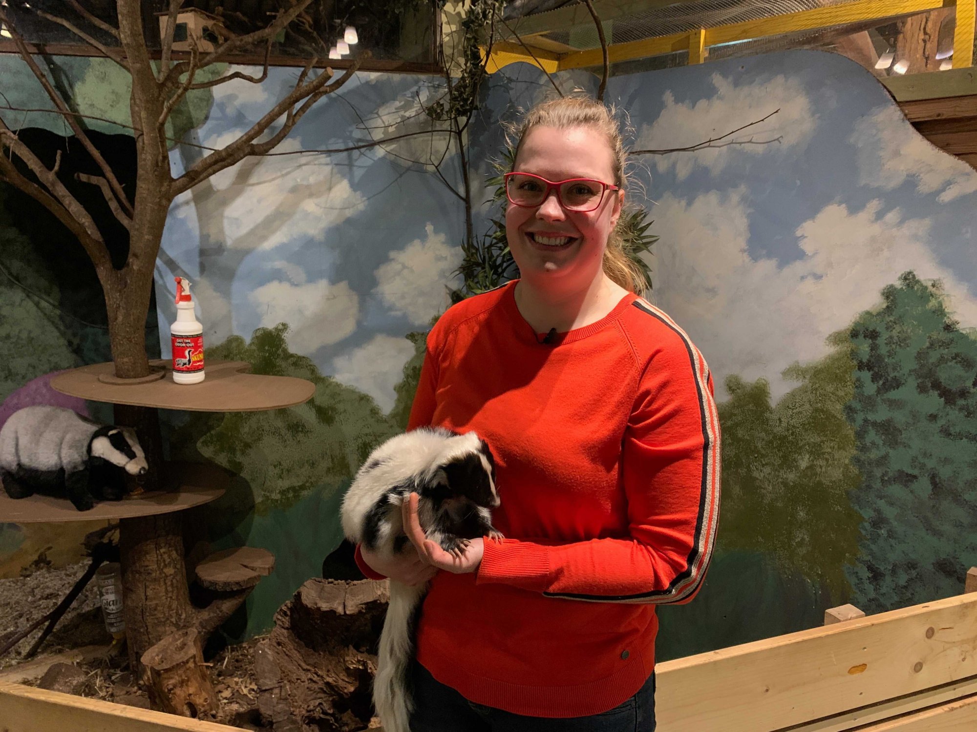 Dierentuindieren eenzaam? 'Ze kunnen in een sociaal gat vallen'