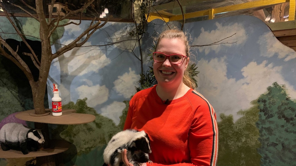 Dierentuindieren eenzaam? 'Ze kunnen in een sociaal gat vallen'