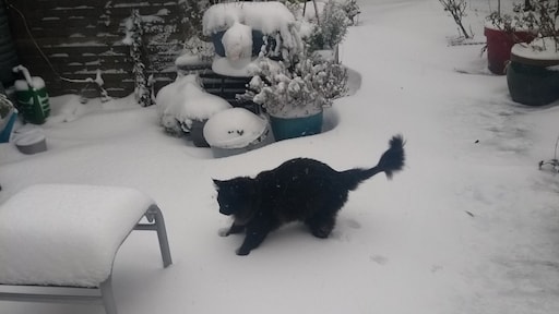 Spelen in de sneeuw werd Kwibus (3) fataal: 'Hij heeft er tien minuten van genoten'