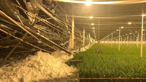 Op meerdere plekken bezwijken daken onder gewicht van sneeuw