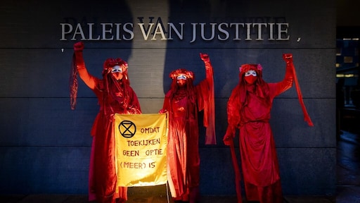 Klimaatverandering aanpakken via de rechter: 'Gaat om kleine beetjes'