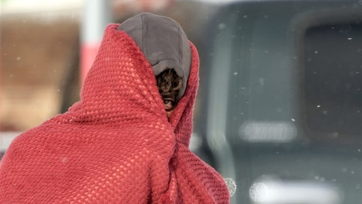 Texas beleeft koudste winter in jaren, miljoenen mensen zonder stroom