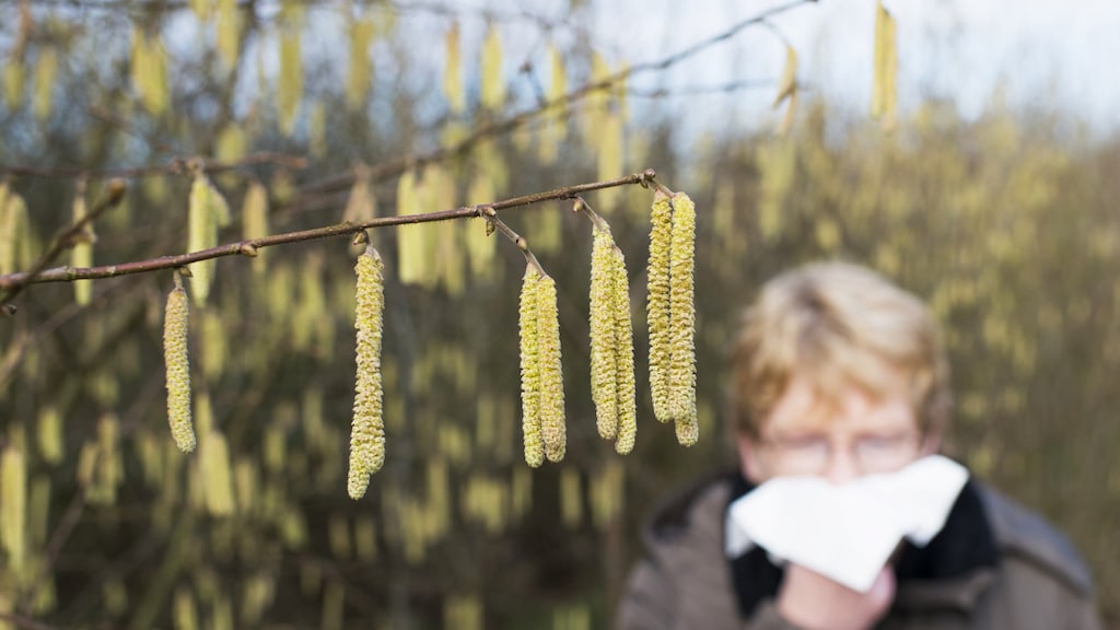 Effect extreem temperatuurverschil: hooikoortspatiënten krijgen lastig weekend