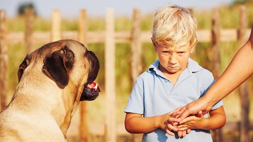 De opvoedkwestie: 'Mijn zoon is bang voor honden'