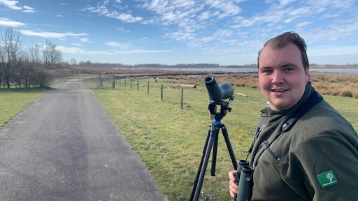 Kraanvogel terug van weggeweest: hoe komt dat?