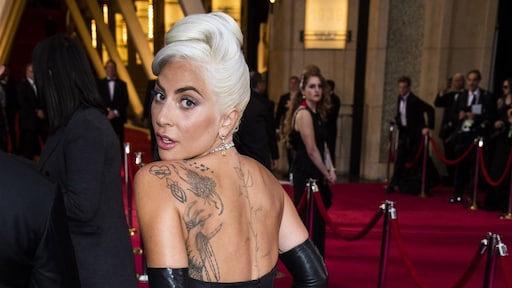 Hondenuitlater Lady Gaga tijdens uitvoeren werk neergeschoten