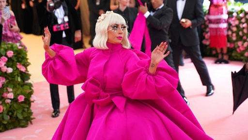 Lady Gaga weer herenigd met haar hondjes na ontvoering