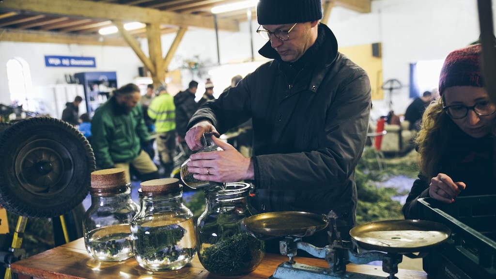 Dit bier wordt van regenwater en dennennaalden gebrouwen