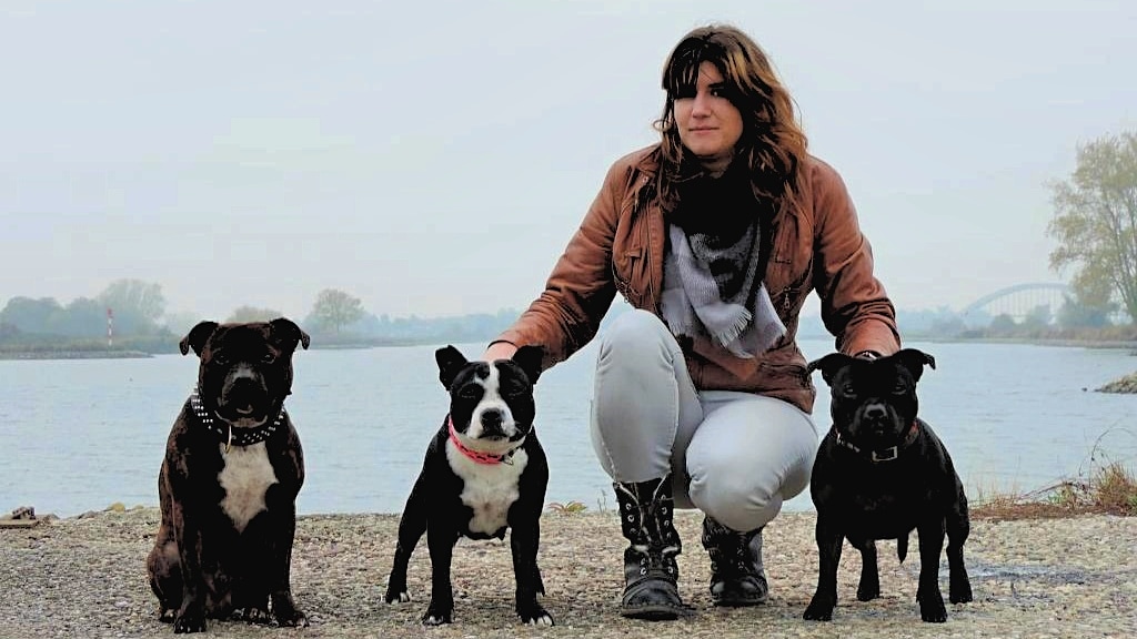 Lockdownpuppy's op cursus: lange wachtlijsten, maar wel hard nodig