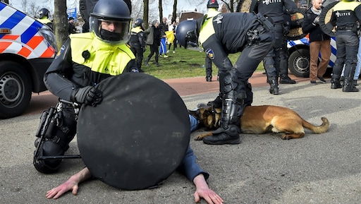 Twintigtal mensen opgepakt bij demonstratie Malieveld
