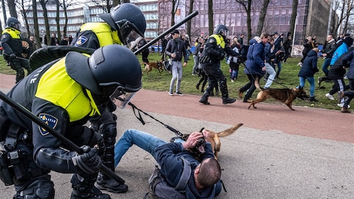 Zes aangiftes en 120 klachten over hardhandig politieoptreden Malieveld