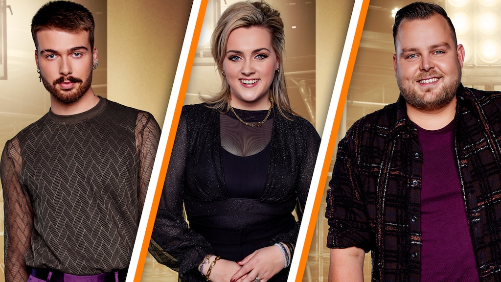 Déze 4 finalisten gaan strijden om winst The voice of Holland