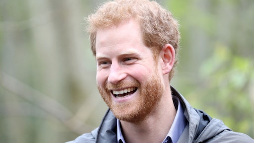 Prins Harry heeft z'n eerste echte baan te pakken