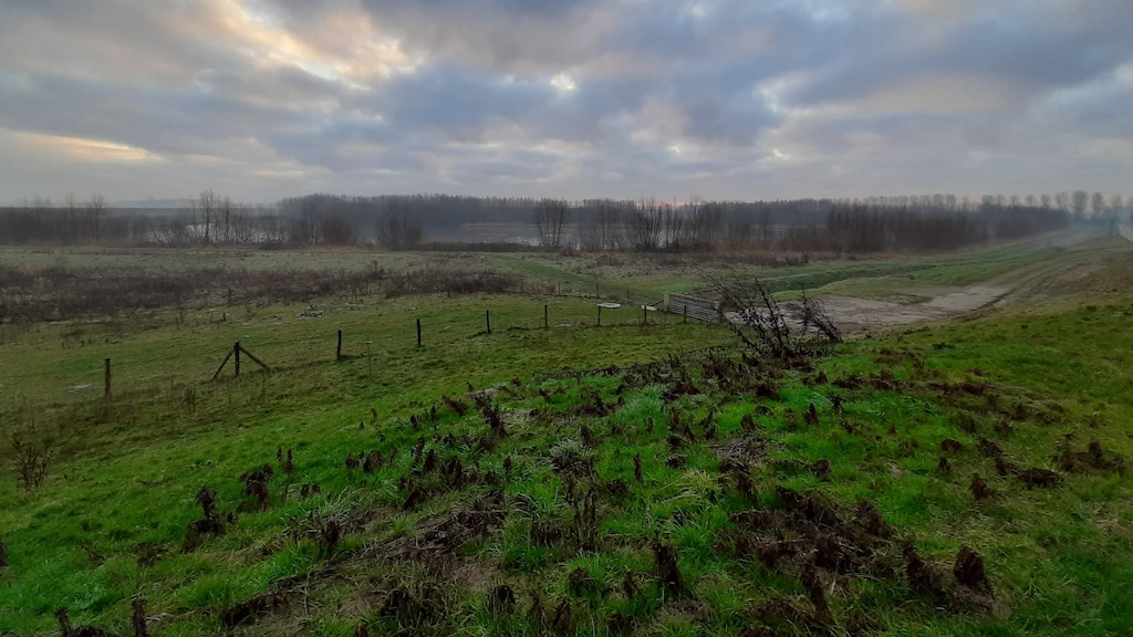 Op deze plek kwamen Kiki en Jack graag.