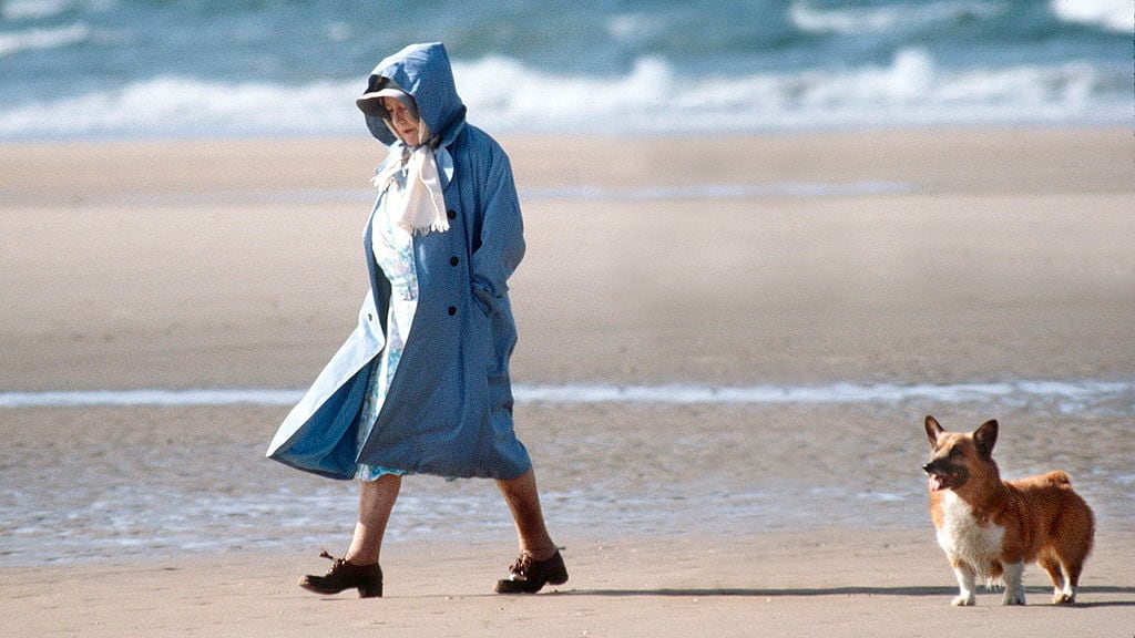 Queen Elizabeth hondjes