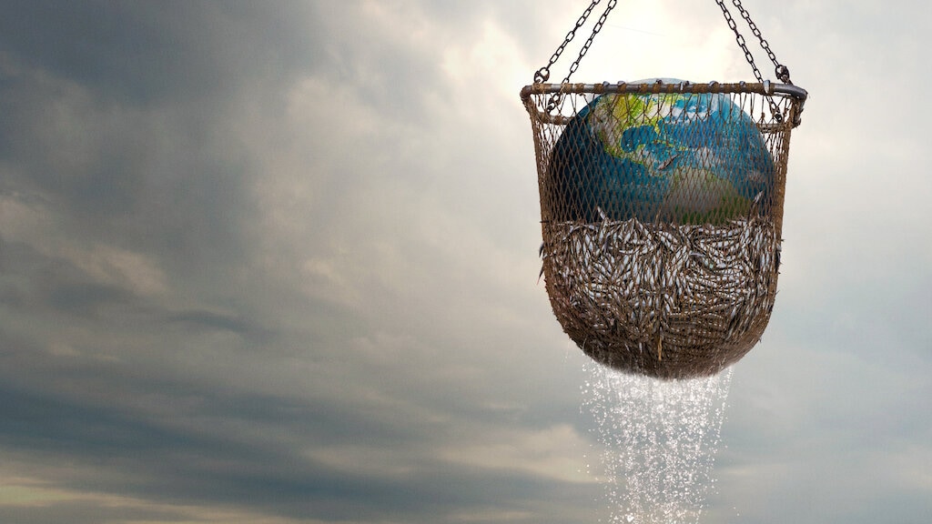 In shock door documentaire over visserij, maar passen we ons gedrag ook aan?