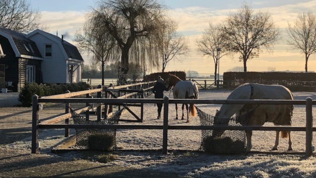 "Er is altijd wel wat te doen thuis."