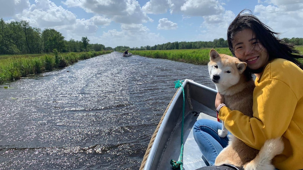 Ling: "Het is fijn om een plan B te hebben."